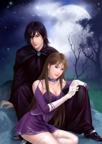 婚蜜來襲:暖男總裁甜蜜妻