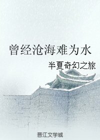 (血滴子同人)曾经沧海难为水